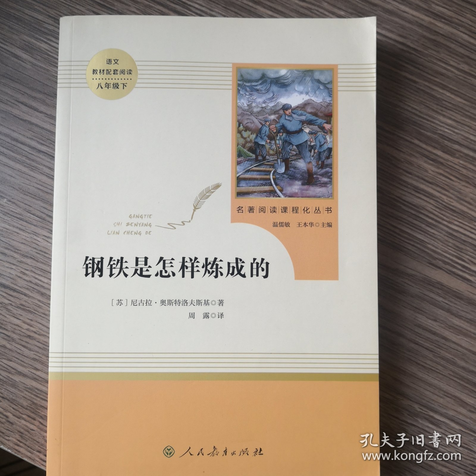 统编语文教材配套阅读 八年级下：钢铁是怎样炼成的/名著阅读课程化丛书