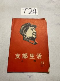 支部生活 上海 1967 43