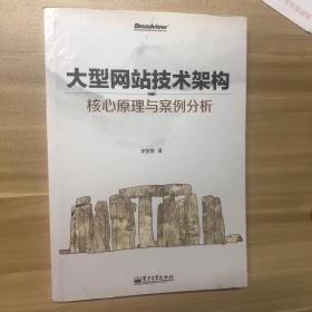 大型网站技术架构：核心原理与案例分析