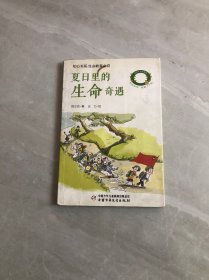 知心书系生命教育小说——夏日里的生命奇遇 划线 开胶