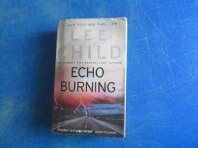 Echo Burning (Jack Reacher 05)