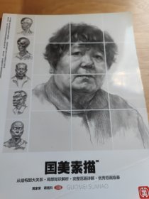 国美素描 结构大关系 局部知识解析 完整范画 临摹