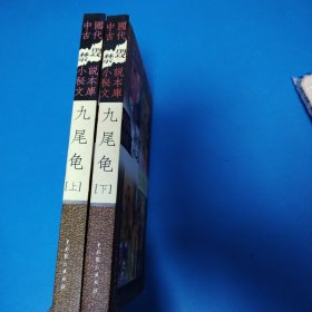 中国古代禁毁小说秘本文库：九尾龟（上下册，硬精装）