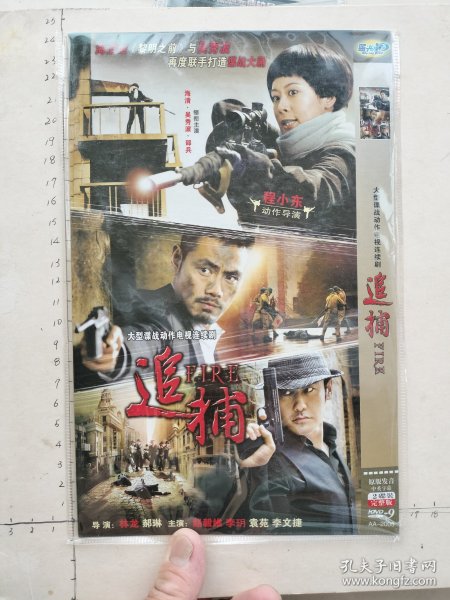 大型谍战动作电视连续剧《追捕DVD》2碟完整版（海清、吴秀波、邵兵领衔主演，林龙、郝琳导演；赵毅维、李玥、袁苑、李文捷主演）