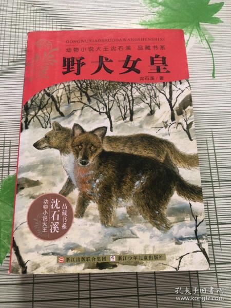 野犬女皇：动物小说大王沈石溪.品藏书系