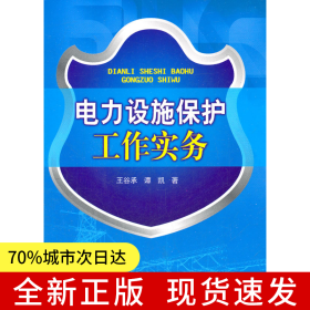 電力設(shè)施保護(hù)工作實(shí)務(wù)