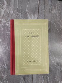 外国文学名著丛书：一生 漂亮朋友（网格本）人民文学出版社（精装本）海量精美插页 一版一印