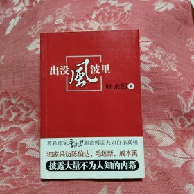 出没风波里，16.77元包邮，