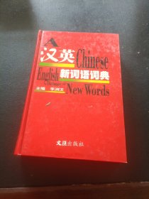 漢英新詞語詞典