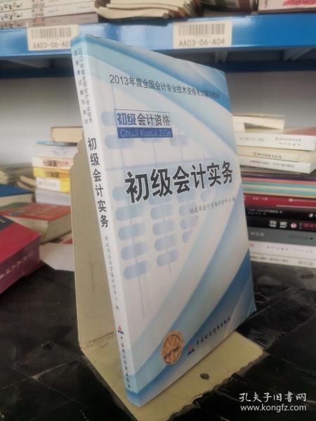 2013全国会计专业技术资格考试辅导教材：初级会计实务