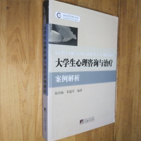 大学生心理咨询与治疗案例解析