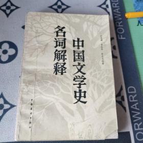 中国文学史名词解释