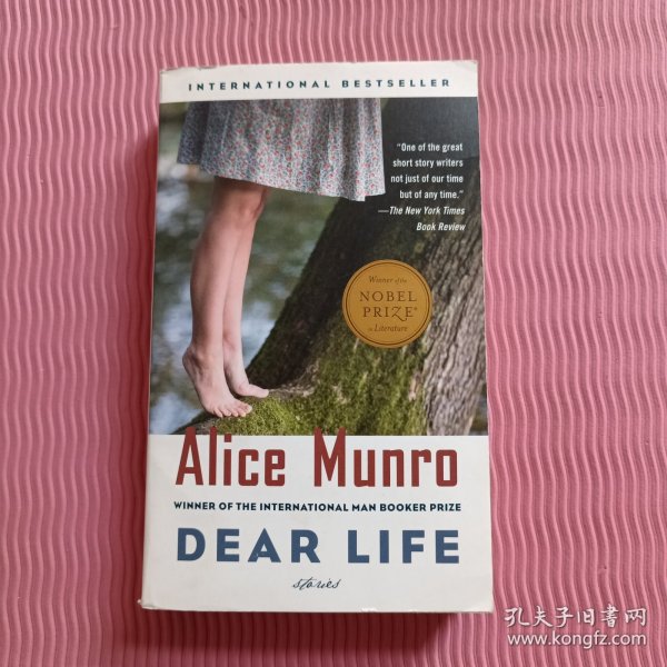 Dear Life：Stories