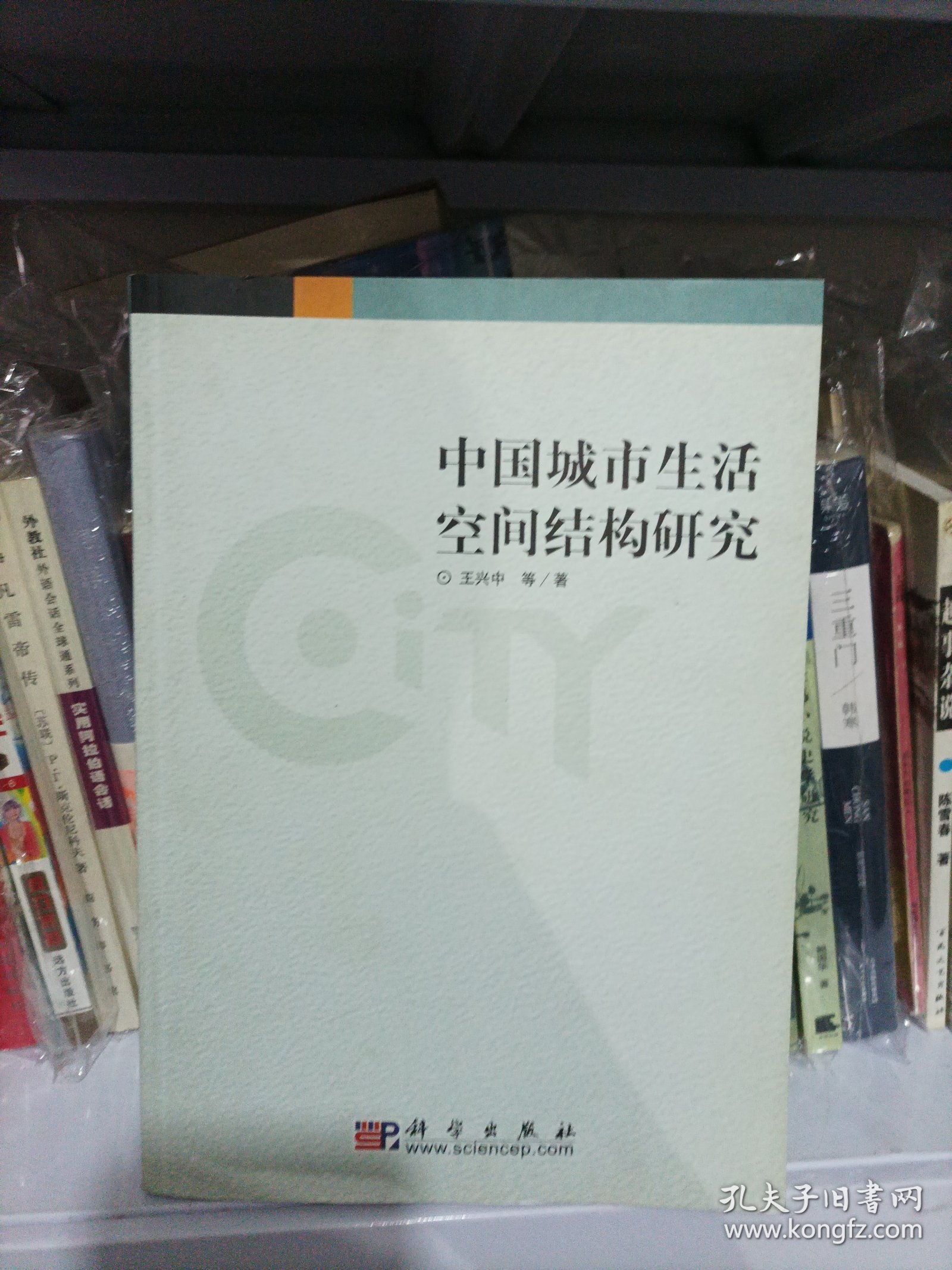 中国城市生活空间结构研究