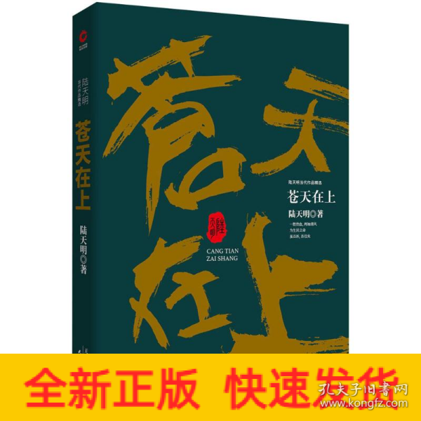 陆天明当代作品精选：苍天在上