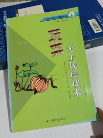 蔬菜無土栽培技術(shù)
