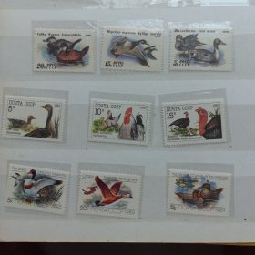 苏联邮票1990年 动物 家禽 鹅 鸡 北高加索火鸡 3全新 三套一起出