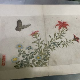 清佚名：蝶花图