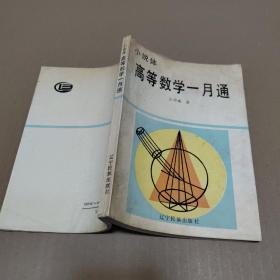 小说体•高等数学一月通