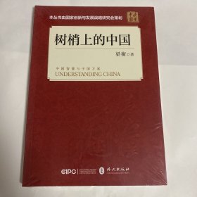 树梢上的中国.