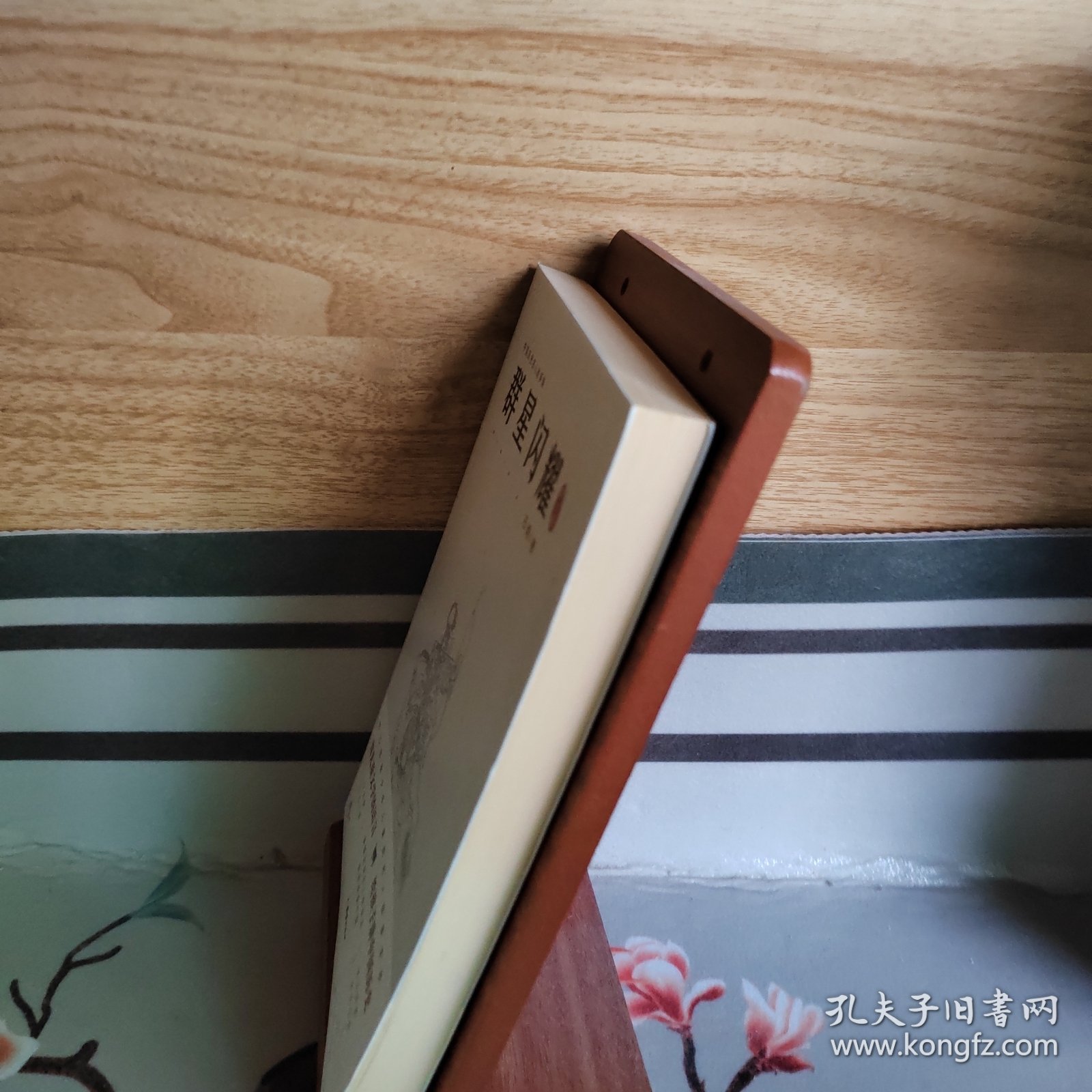 群星闪耀写给儿童的中国历史名人故事集（套装共5册）（东汉卷）