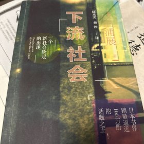 下流社会：一个新社会阶层的出现