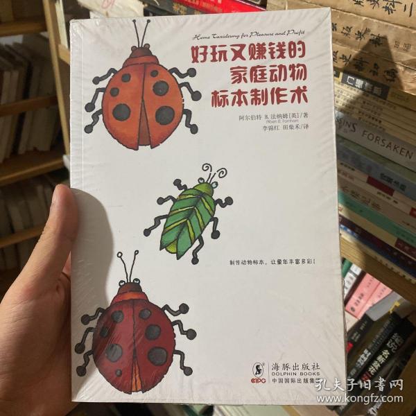 生活之甜系列：好玩又赚钱的家庭动物标本制作术