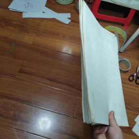 初级中学动物学教学挂图 鸟钢（7张合售）