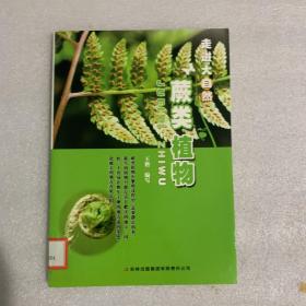 蕨类植物(走进大自然)