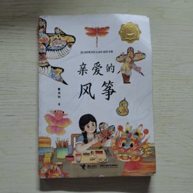 亲爱的风筝:接力杯曹文轩儿童小说奖书系