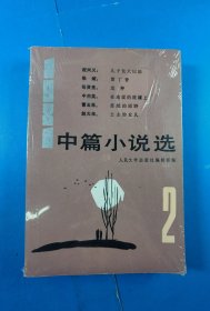 中篇小说选2