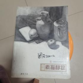 点缀素描静物
主体教学点缀系列丛书