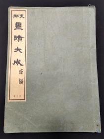 (特 大 厚)『支那 墨蹟大成』（巻八）监修 河井荃庐　昭和十二发行(1926)【诸暨老人】写有(倭寇为一小国对中华文字竟集头大成以研究侵略吾国之谋远等字(研究古代书法珍贵文献) (共246页完整)！