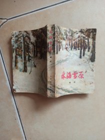 林海雪原