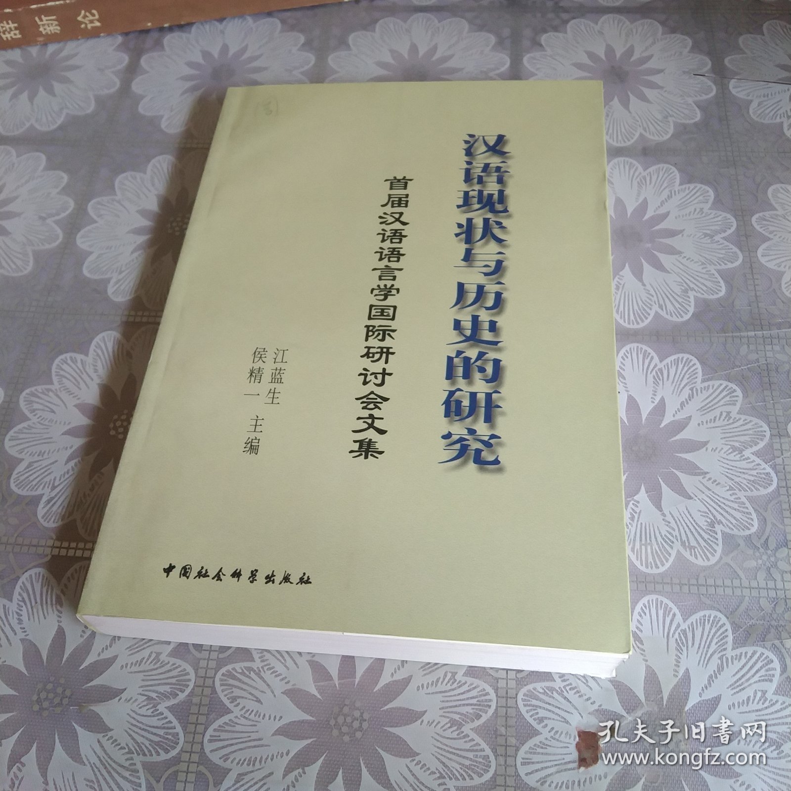 汉语现状与历史的研究:首届汉语语言学国际研讨会文集