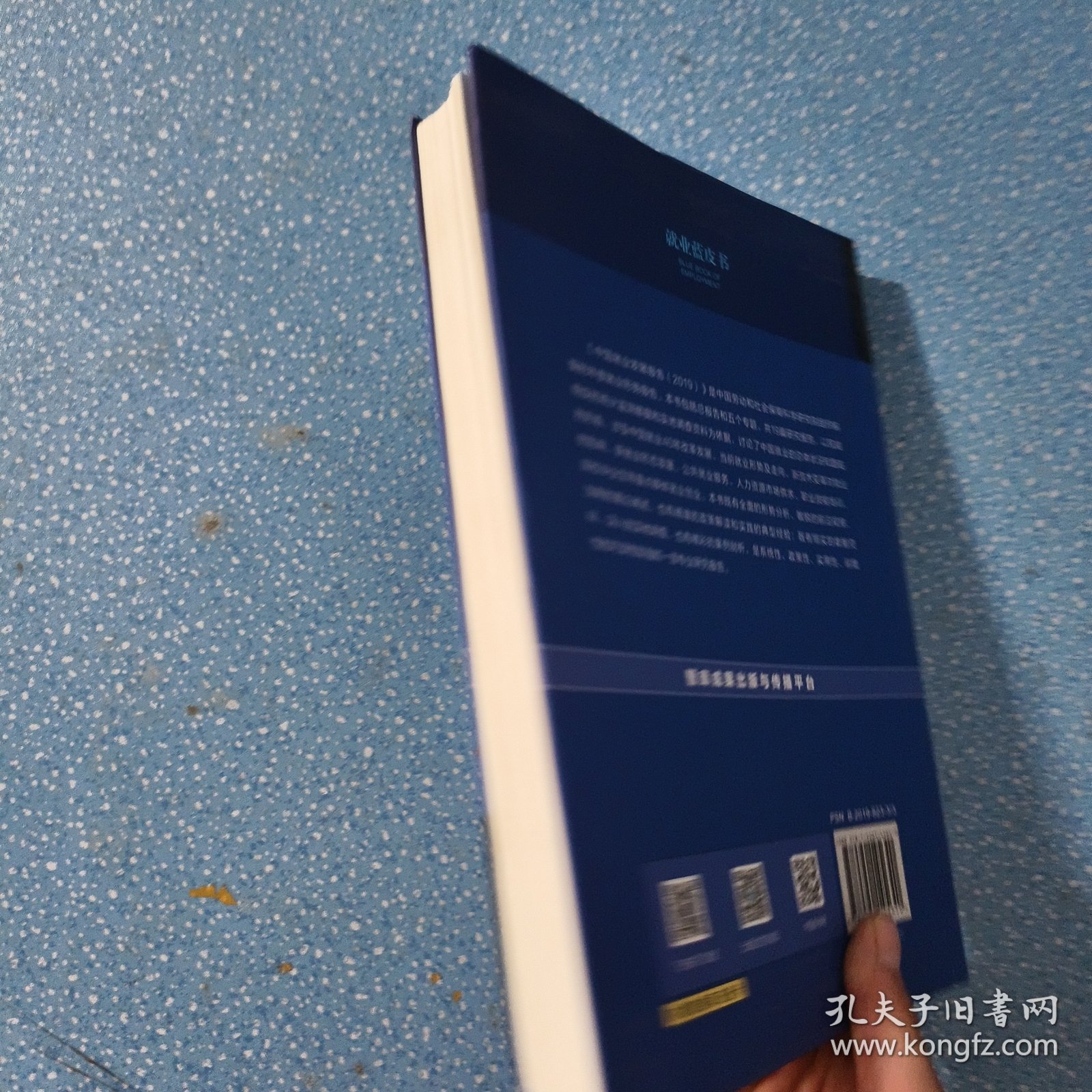 就业蓝皮书：中国就业发展报告（2019）