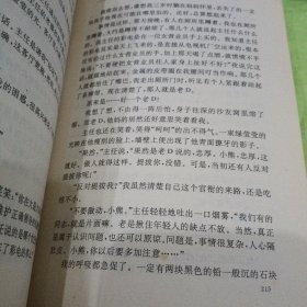 荒野的風，刘小兵小说