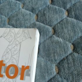 Illustrator汉服款式设计与表现 缠枝花图案设计、宝相花图案设计、中衣的款式设计、玄端的款式设计：绛纱的款式设计、曳撒的款式设计 汉服款式 汉服设计