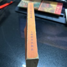 小学语文教师手册