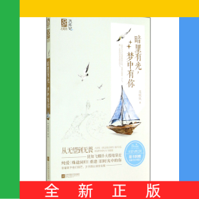 暗里有光夢(mèng)中有你