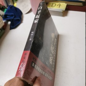 白手起家:一个草根的十年奋斗史