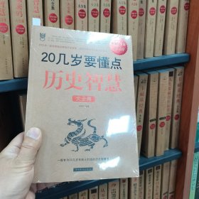 20几岁要懂点历史智慧大全集（保塑封保正版）