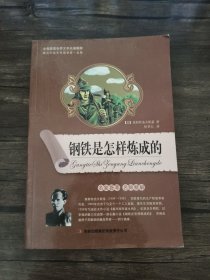 全面展现世界文学名著精粹：钢铁是怎样炼成的