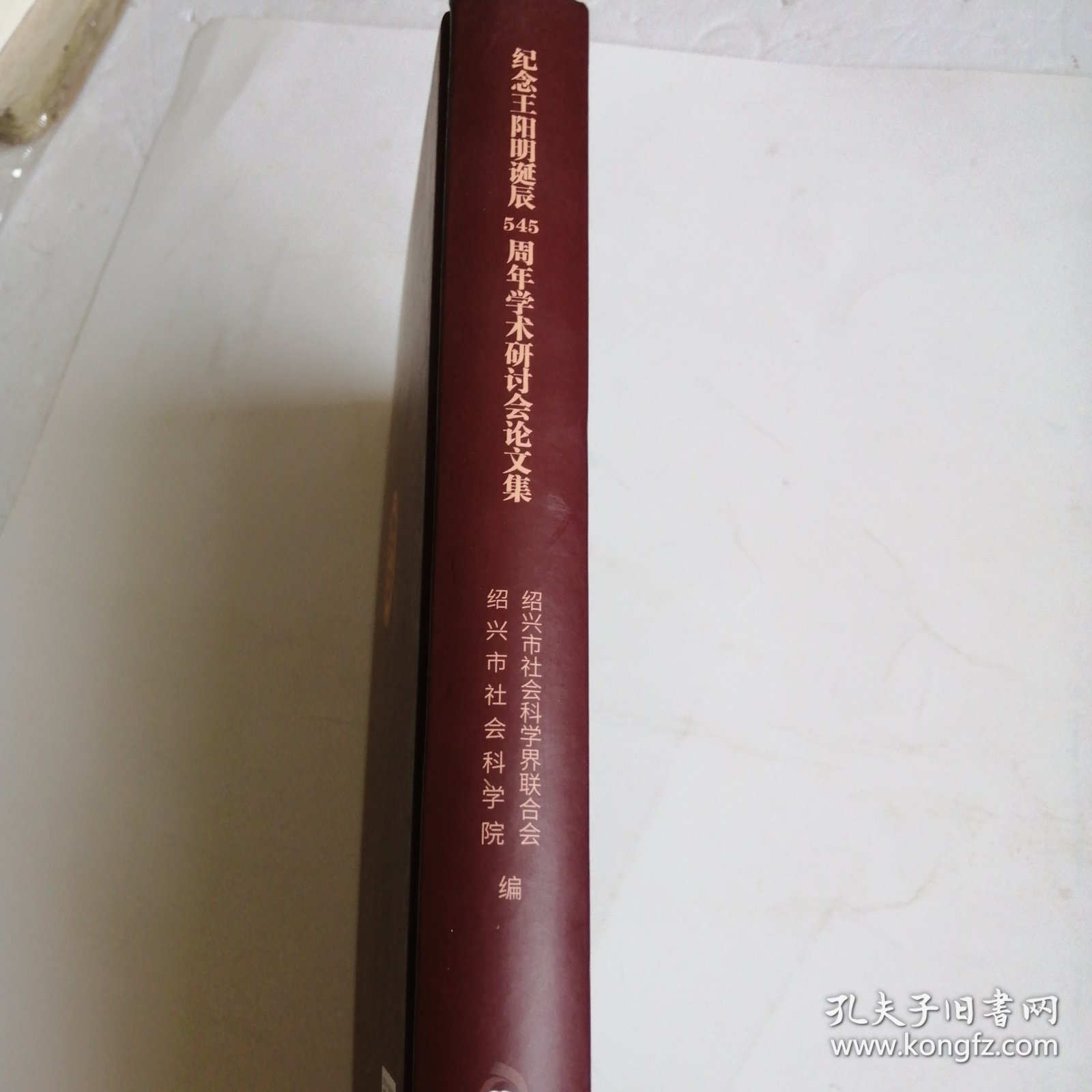 纪念王阳明诞辰545周年学术研讨会论文集
