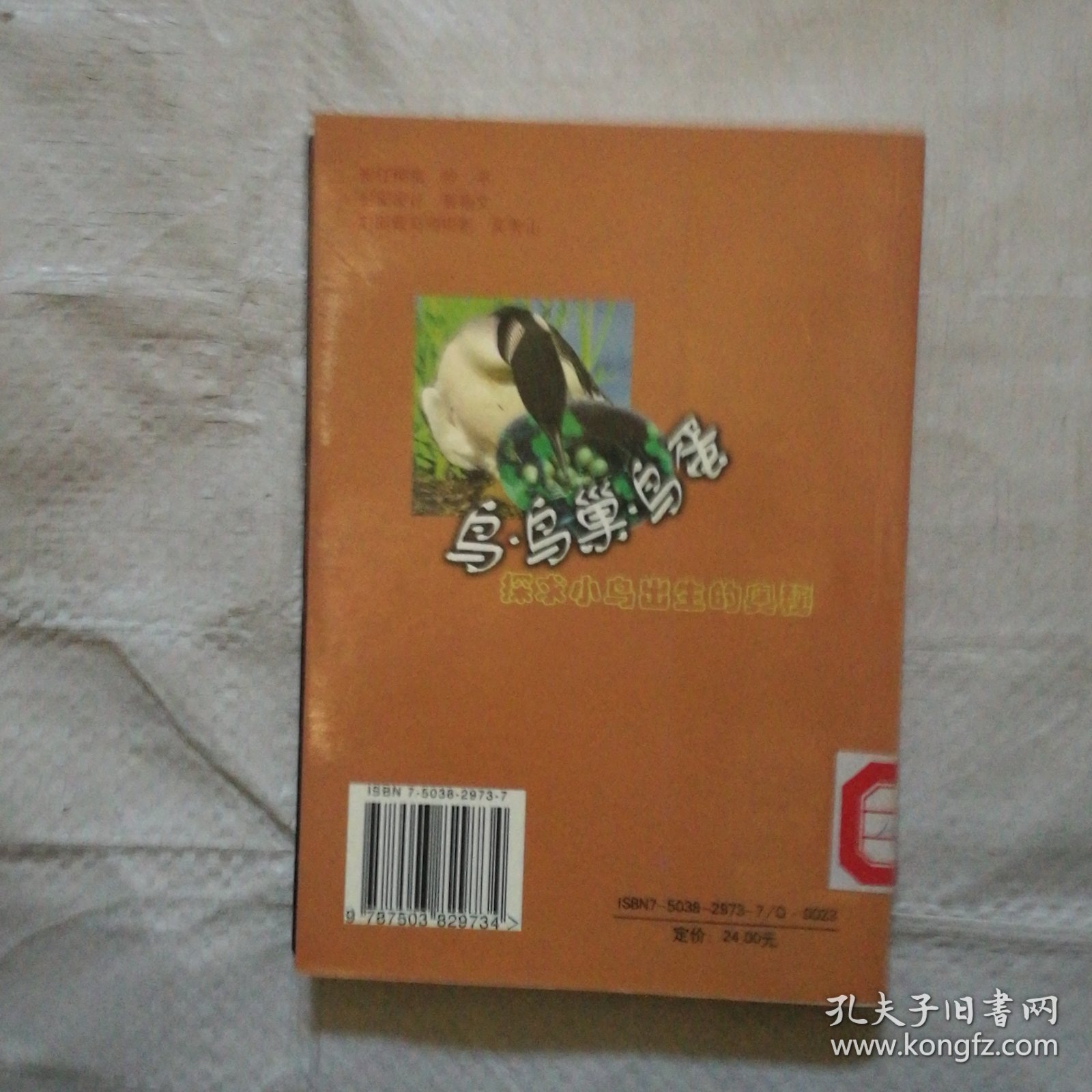 常见鸟类生态图集