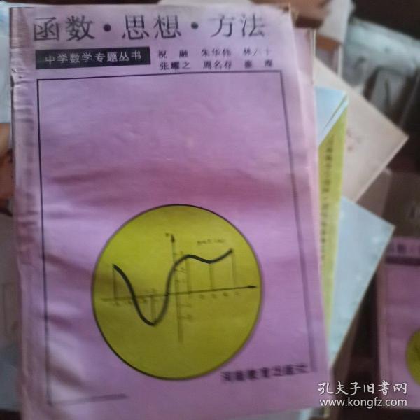 中学数学专题丛书：函数、思想、方法