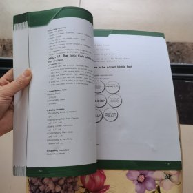 高中生英语阅读策略（高3适用）
