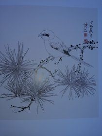 花鸟白描图谱 中国画素材库