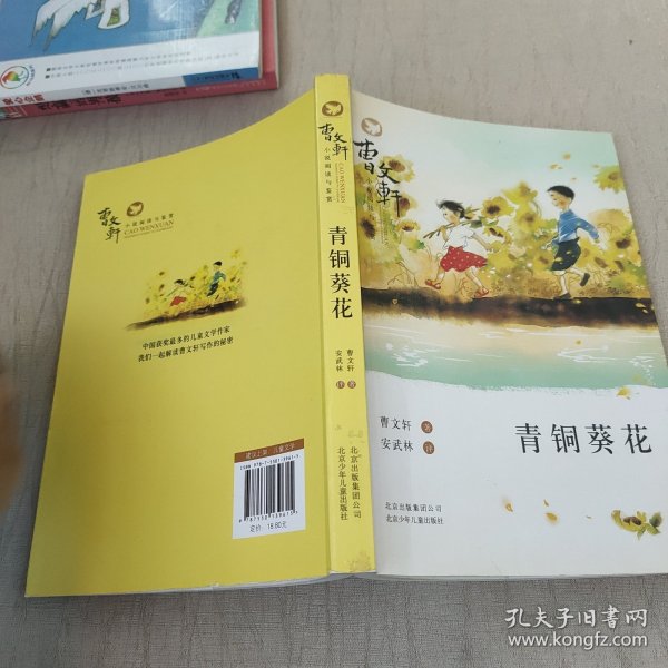 曹文轩小说阅读与鉴赏：青铜葵花