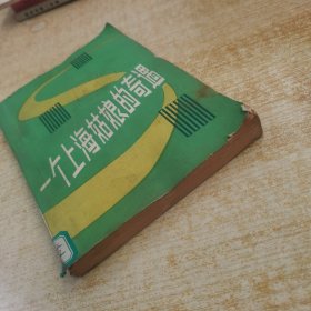 一个上海姑娘的奇遇